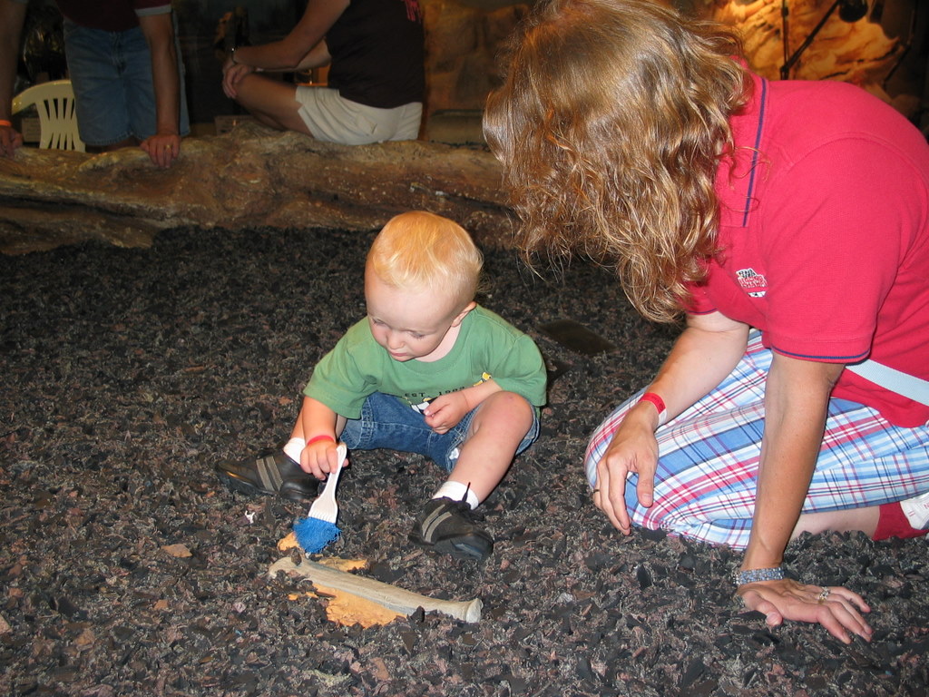 Digging for Bones
William unearths a dinosaur bone at the Chicago Children's Museum.
