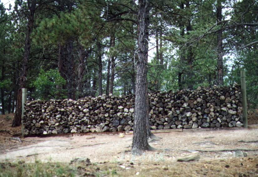 This wood won't burn
How's this for a woodpile?  That whole stack is petrified wood
