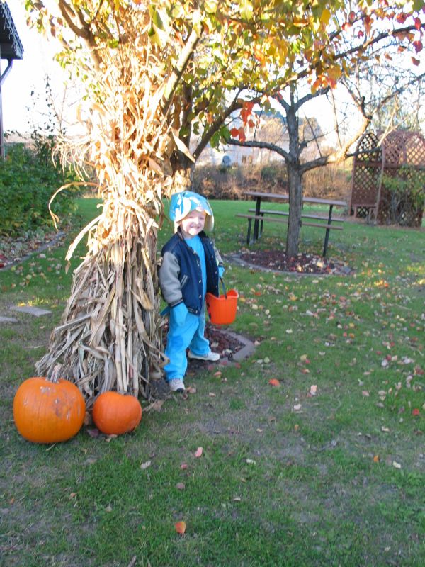Fall pose
William poses next to a little Fall display we put up in our front yard.
