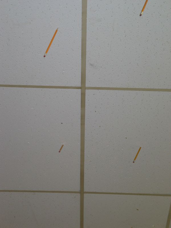 Pencils in the ceiling...
When Tim was in school, people liked to fling pencils (and drumsticks) into the ceiling tile.  Either they never removed them in the last 20 years, or the kids today still do the same...
