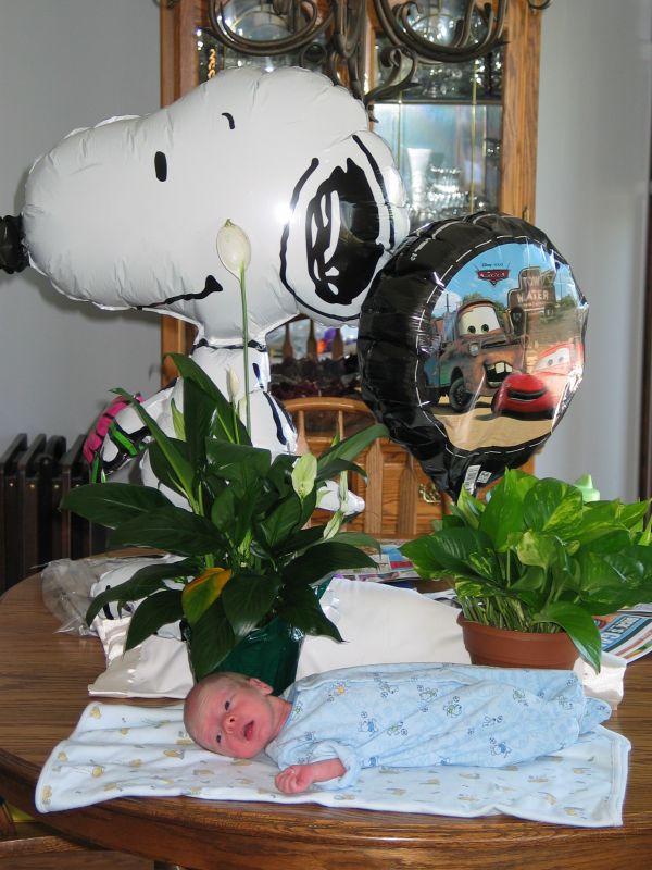 Plants, Balloons, and Baby
A large Snoopy balloon, smaller "Cars" balloon, and a couple of plants were some of the gifts given to Andrew.  Of course he got a lot of "baby stuff" too.
