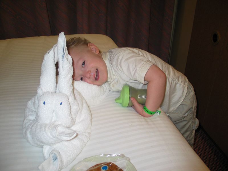 William and Bunny
William with the towel bunny.
