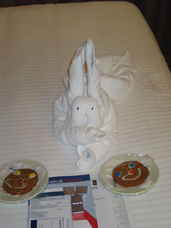Bunny
A towel bunny guards our cookies.
