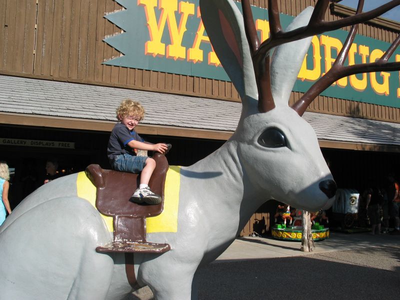 Wall Drug Jackalope
Ah, how can you drive west on I-90 through South Dakota without stopping at Wall Drug?  Call me crazy, I actually kind of LIKE that place.  It's free, as long as you don't spend money there (and you will).  We actually ate two different meals there, and bought a few cheap trinkets...
