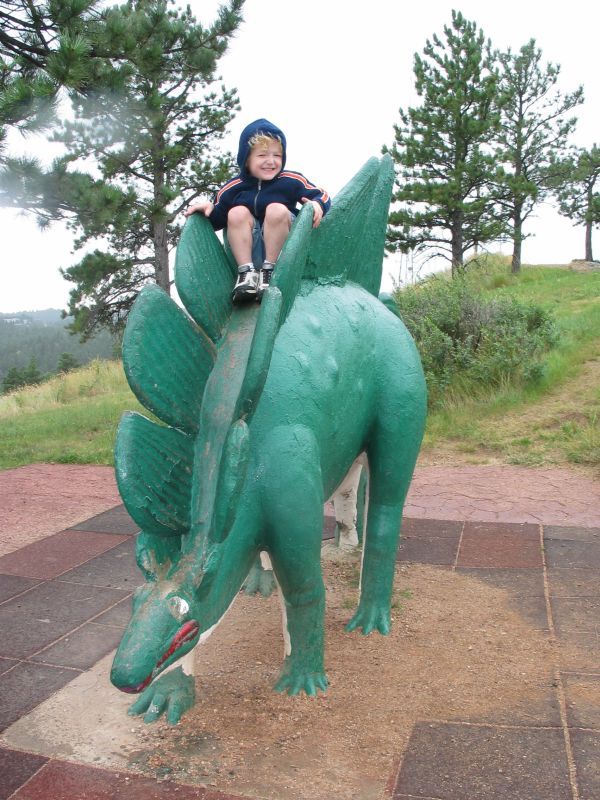 Riding a Stegosaurus
