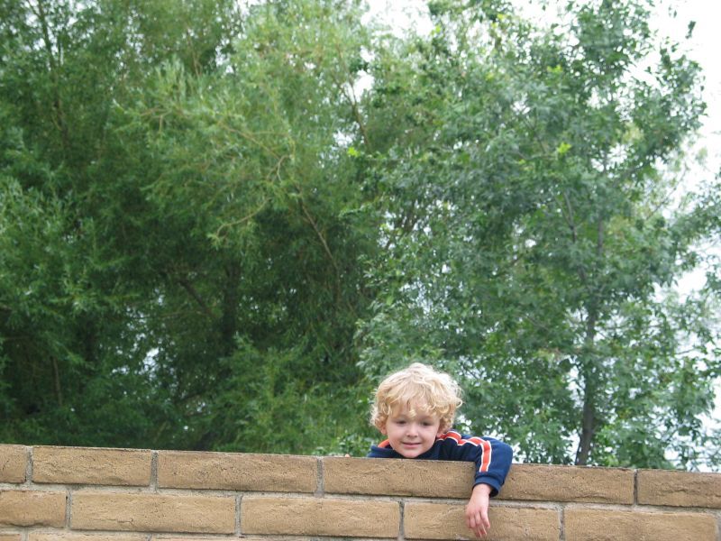 William
Peering over the wall
