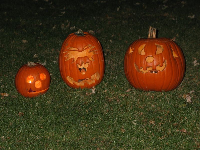 Three Pumpkin Stooges
Our attempt at carving pumpkins.  The left one was designed totally by William (although Daddy did the carving).

