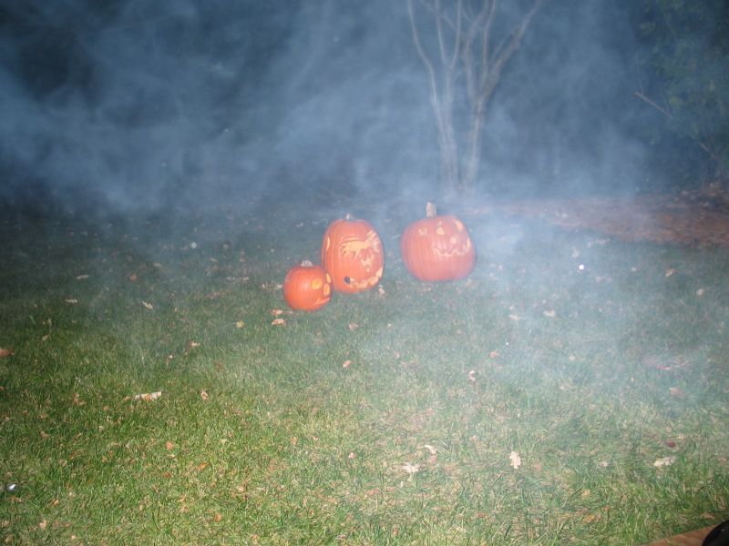 Cool effect!
This wasn't intended, but makes for a nice "spooky" pic of our pumpkins!  The smoke was courtesy of our bonfire.
