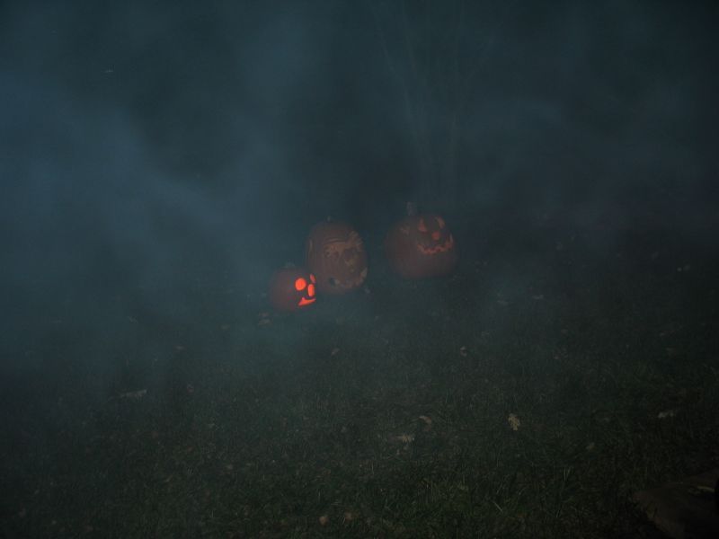 Spooky Effect.
This wasn't intended, but makes for a nice "spooky" pic of our pumpkins!  The smoke was courtesy of our bonfire.
