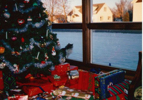 Missy
Missy resided with Tim's family in Iowa, and in this shot, is looking in at the family Christmas tree. Missy passed away peacefully on May 4, 1995, after many wonderful years with the family.  She is missed.
