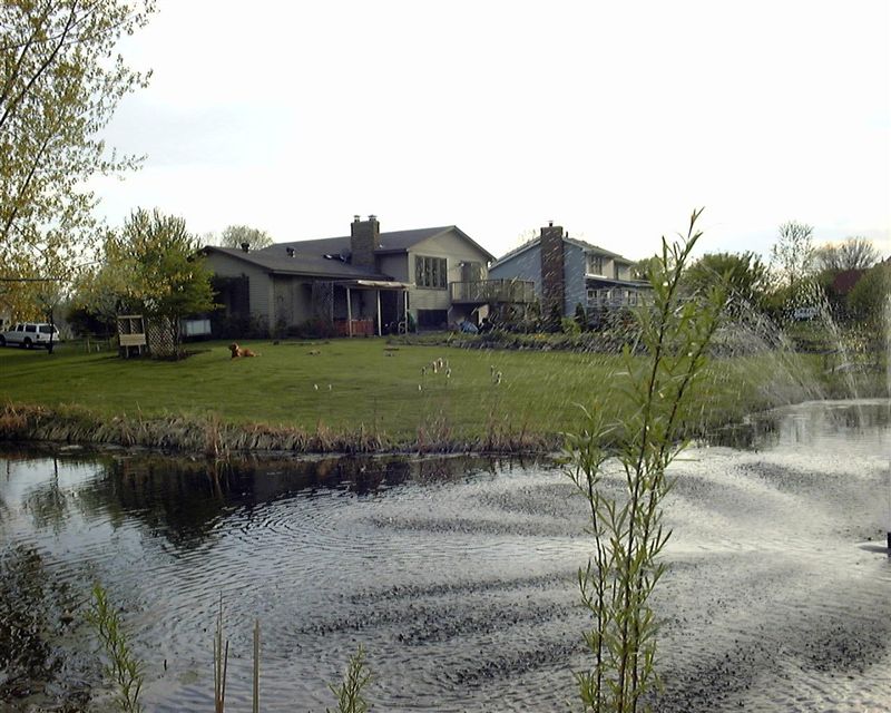 Another view of the pond, with the fountain and part of our back yard. 
