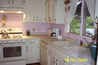 Previous Owner's Kitchen
Here is the way the kitchen looked before we redecorated it.  It had pink as the main color and almond on the cabinets.  This picture was taken by the previous owner.

