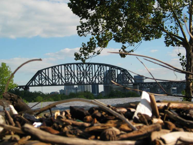 Driftwood at the Falls of the Ohio
The flooding had caused lots of driftwood to pile up on the shores, making for an interesting photo opportunity.
