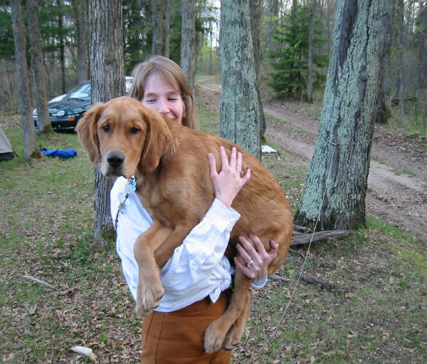 Big Puppy
Bailey was over 50 pounds, but we still loved to hold him.  Here he gets a hug from Cathy.
Keywords: BAILEY_STARLAKE