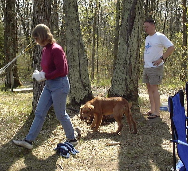 Cathy, Paul W, and Bailey
Bailey watches Cathy walk by as Paul Witty looks on.  The blue object near Cathy's foot is Oakley the Octopus, one of Bailey's favorite toys at the time (we had to retire him as Bailey eventually wanted to just tear him up).  You can see lots of other pictures with Oakley in Bailey's puppy gallery.
Keywords: BAILEY_STARLAKE