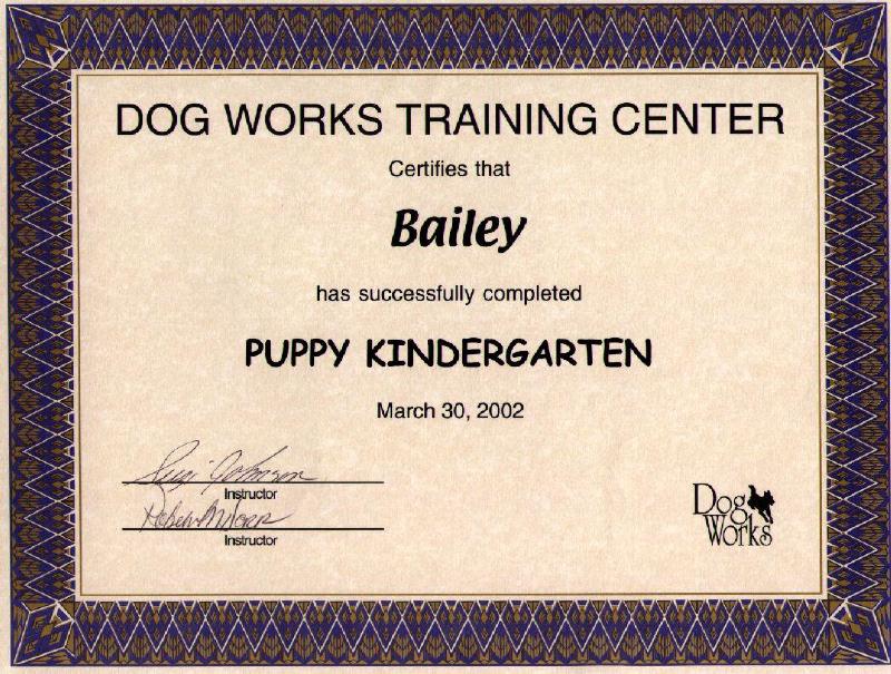 Puppy Kindergarten Diploma
Close-up of the Puppy Kindergarten diploma.
