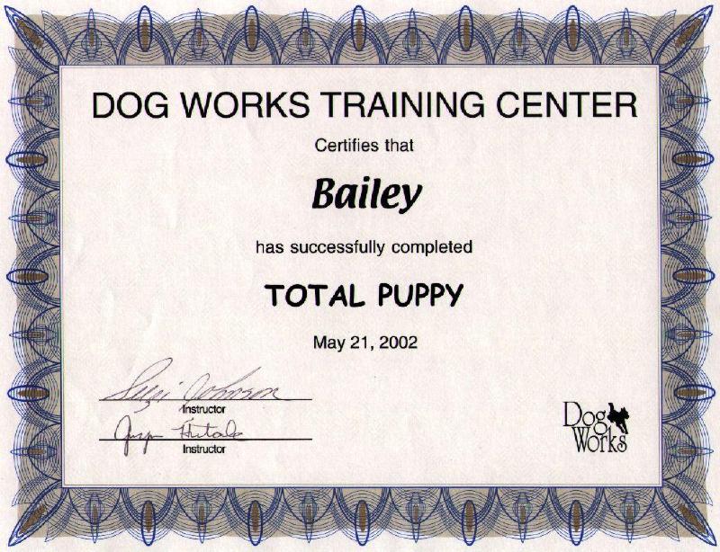 Total Puppy Diploma
On May 21, 2002, Bailey earned his second diploma by completing Total Puppy.  You can also see some pictures of this event in the Puppy album.
